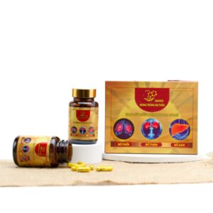 xr:d:DAFDjwkTr28:13,j:28589463160,t:22061410 Nano Đông Trùng Hạ Thảo 3 bổ