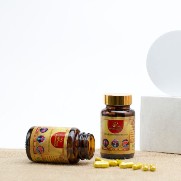 xr:d:DAFDjwkTr28:13,j:28589463160,t:22061410 Nano Đông Trùng Hạ Thảo 3 bổ