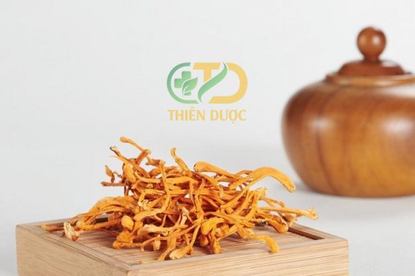 cach-su-dung-dong-trung-ha-thao-kho