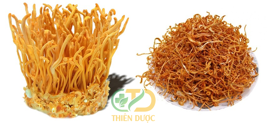 cach-su-dung-dong-trung-ha-thao-kho