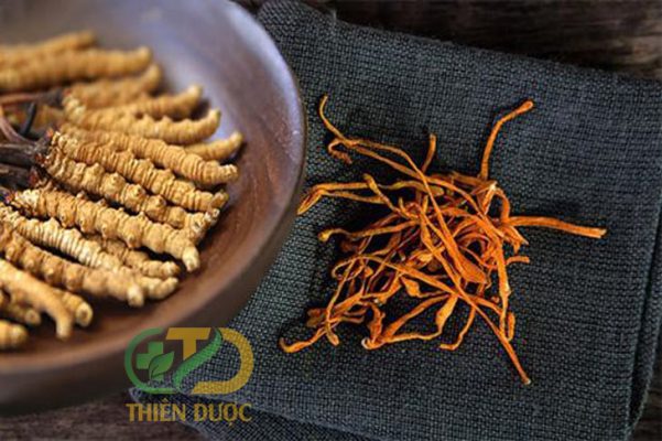 cach-su-dung-dong-trung-ha-thao-kho