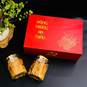 Đông Trùng Hạ Thảo Quả Thể Khô