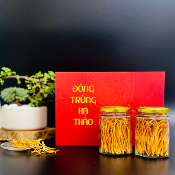 dong-trung-ha-thao-kho-say-lanh dong-trung-ha-thao-kho-say-lanh