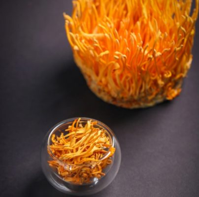 dong-trung-ha-thao-kho-va-tuoi