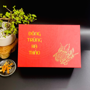 dong-trung-ha-thao-nguyen-con-kho-say-lanh