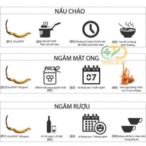 Đông Trùng Hạ Thảo Quả Thể Khô