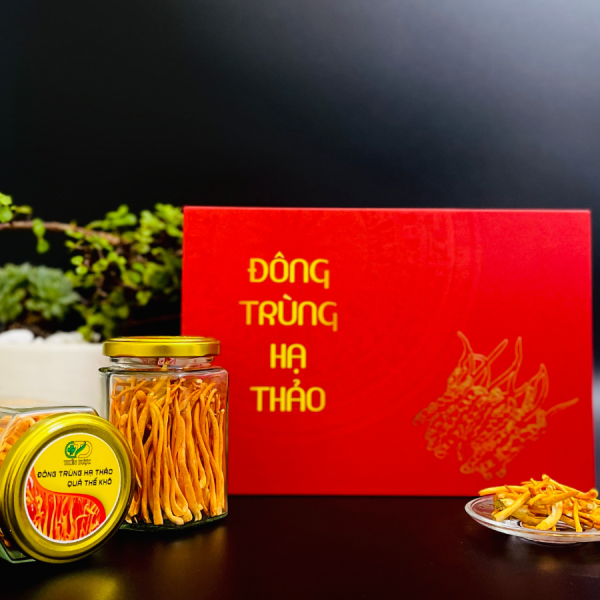 qua-the-dong-trung-ha-thao-say-kho qua-the-dong-trung-ha-thao-say-kho