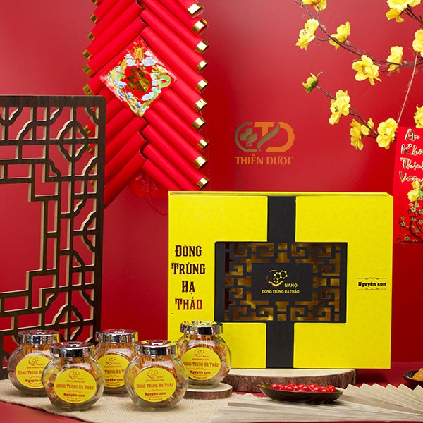 tac-dung-cua-dong-trung-ha-thao-kho