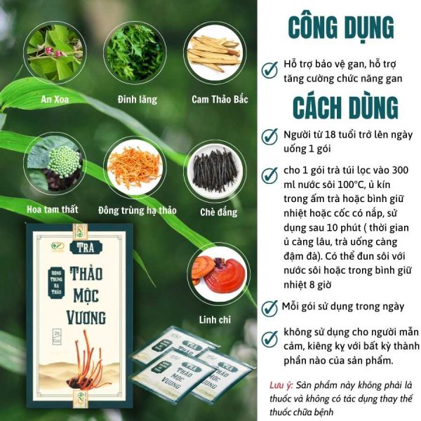 thao-moc-vuong (1) thao-moc-vuong (1)