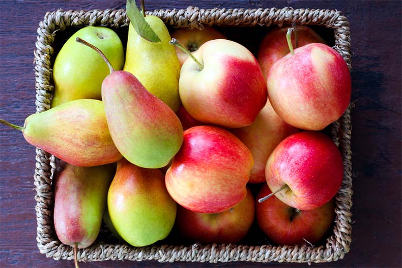 nhung-loai-trai-cay-nguoi-tieu-duong-nen-an