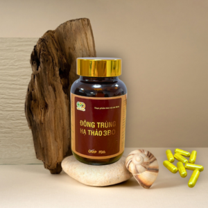 viên-dong-trung-ha-thao viên-dong-trung-ha-thao