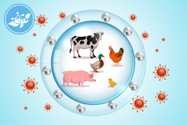 Cong-nghe-nano-trong-vat-nuoi