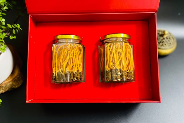 Dong-trung-ha-thao-ho-tro-ung-thu