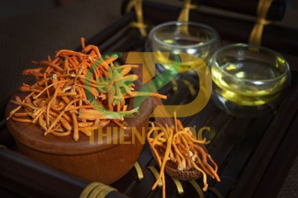 Dong-trung-ha-thao-kho-pha-tra