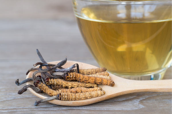 dong-trung-ha-thao-tot-cho-gan