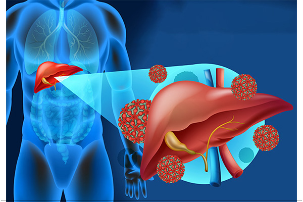 Thuc-pham-tot-nhat-cho-gan