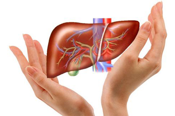 Thuc-pham-tôt-nhat-cho-gan-2