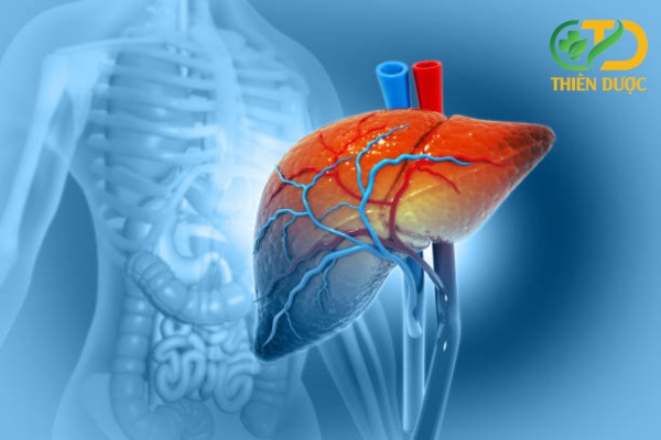 benh-nguy-hiem-ve-gan