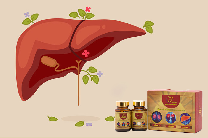 nano-dong-trung-ha-thao