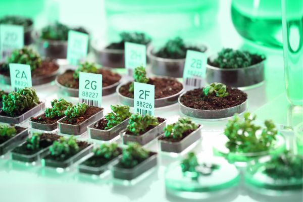 cong-nghe-nano-trong-trong-trot