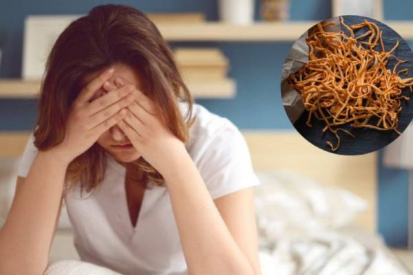 dong-trung-ha-thao-ho-tro-suy-nhuoc-co-the