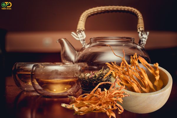 dong-trung-ha-thao-khi-pha-tra