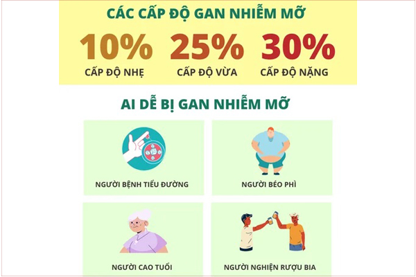 gan-nhiem-mo-do-2-cap-do-600x400