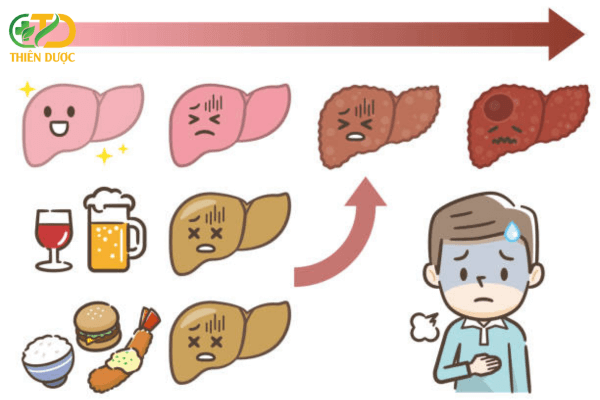 han-che-cac-thuc-pham-co-hai-se-giup-gan-khoe-manh-hon