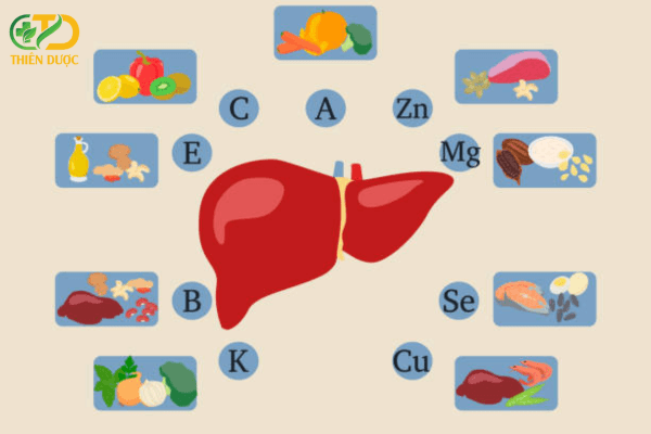 lua-chon-nhom-thuc-pham-tot-cho-gan