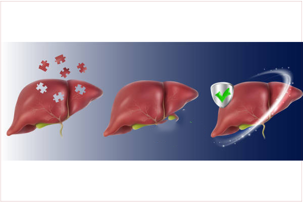 mot-co-the-khoe-khoan-la-khi-la-gan-hoat-dong-tot