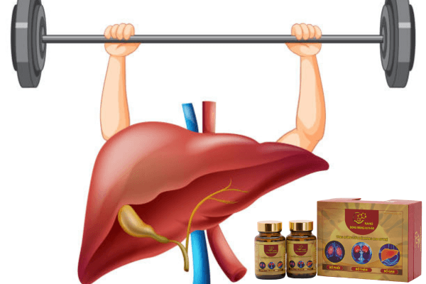 nano-dong-trung-ha-thao-giup-bo-gan-tang-cuong-chuc-nang-gan