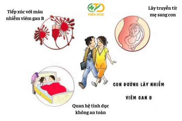 nguyen-nhan-va-cach-thuc-lay-truyen-viem-gan-b