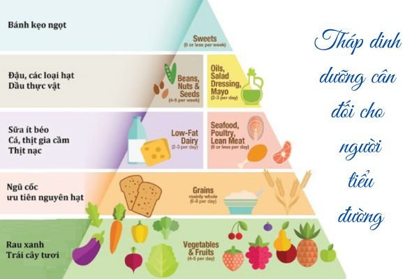 thap-dinh-duong-can-doi