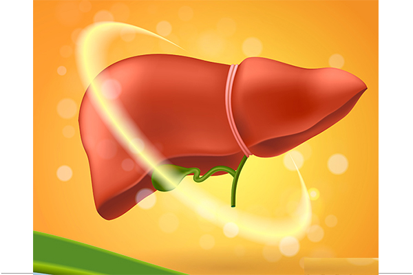 thuc-pham-tot-nhat-cho-gan-3