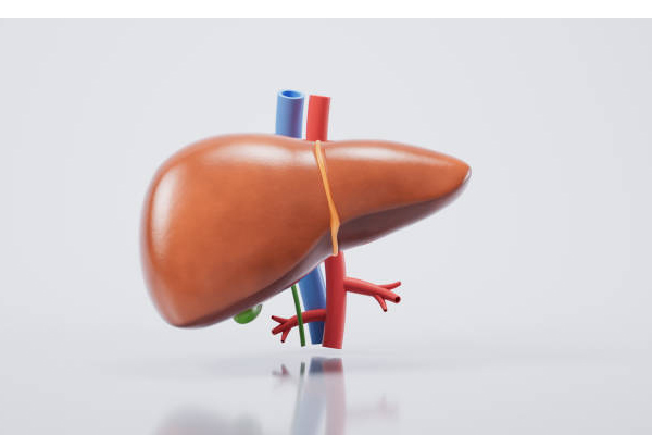 co-quan-noi-tang-lon-nhat