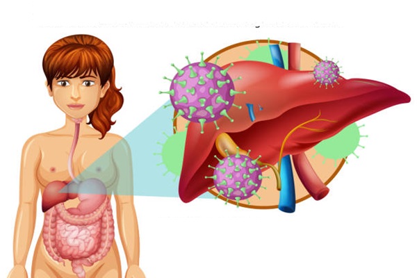 cac-con-duong-lay-truyen-cua-viem-gan-c