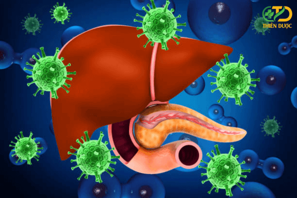 viem-gan-c-nguy-hiem-nhu-the-nao