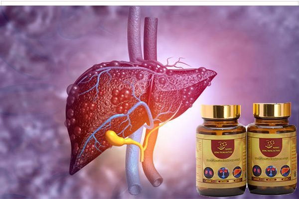 nano-dong-trung-ha-thao-tot-cho-gan