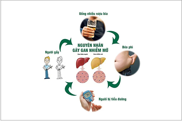 nguyen-nhan-gay-benh