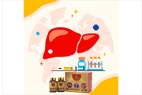 nano-dong-trung-ha-thao-3-bo-ho-tro-benh-gan-than-phoi