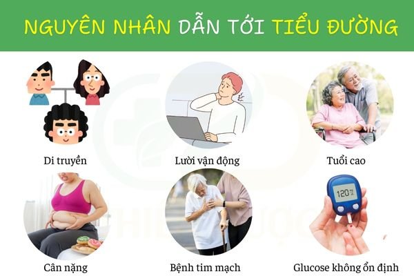 nguyen-nhan-dan-toi-tieu-duong