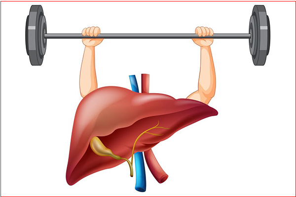tap-the-duc-thuong-xuyen