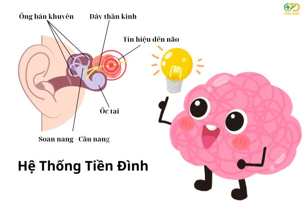 he-thong-tien-dinh