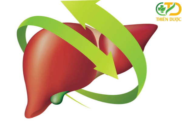 bao-ve-gan-la-dieu-can-thiet-giup-co-the-khoe-manh