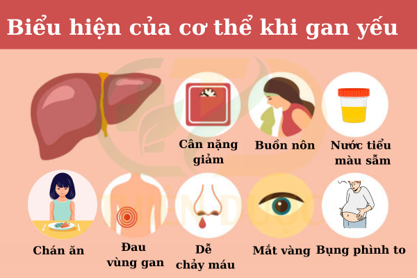 bieu-hien-cua-co-the-khi-gan-yeu