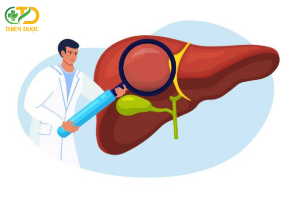 cham-soc-gan-la-yeu-to-quan-trong-de-co-la-gan-khoe