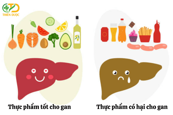 cung-cap-chat-xo-giup-gan-hoat-dong-hieu-qua-hon