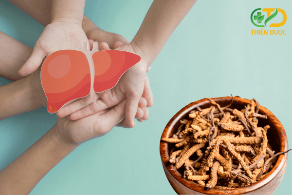 dong-trung-ha-thao-boi-bo-suc-khoe