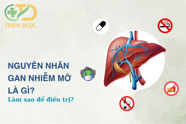 nguyen-nhan-gan-nhiem-mo-la-gi