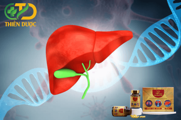 su-dung-thuc-pham-chuc-nang-uy-tin-bao-ve-gan